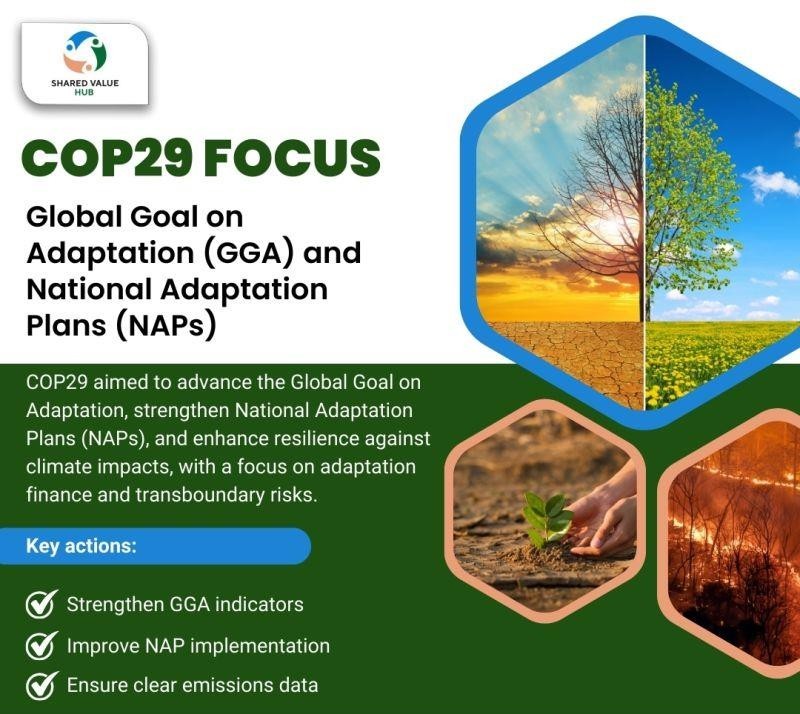 cop 29 focus